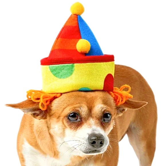 Rubies Pet Shop Boutique Dog Clown Collar & Hat Combo Costume NWT - Picture 6 of 9